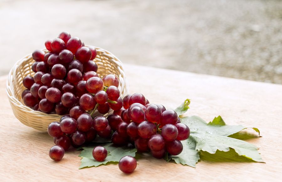 The red wine grapes you should know (and where to buy red wine online)